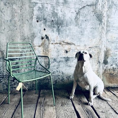 green groen metal mesh metro chair chaise stuhl silla cadeira stolar sedia the good stuff factory antiques antikk inredning horeca restaurang ostalgie retro
